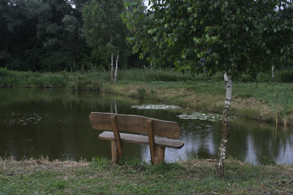 Stajnia Sarnowek Nad Jeziorem Rozany Rozajny Wielkie 外观 照片