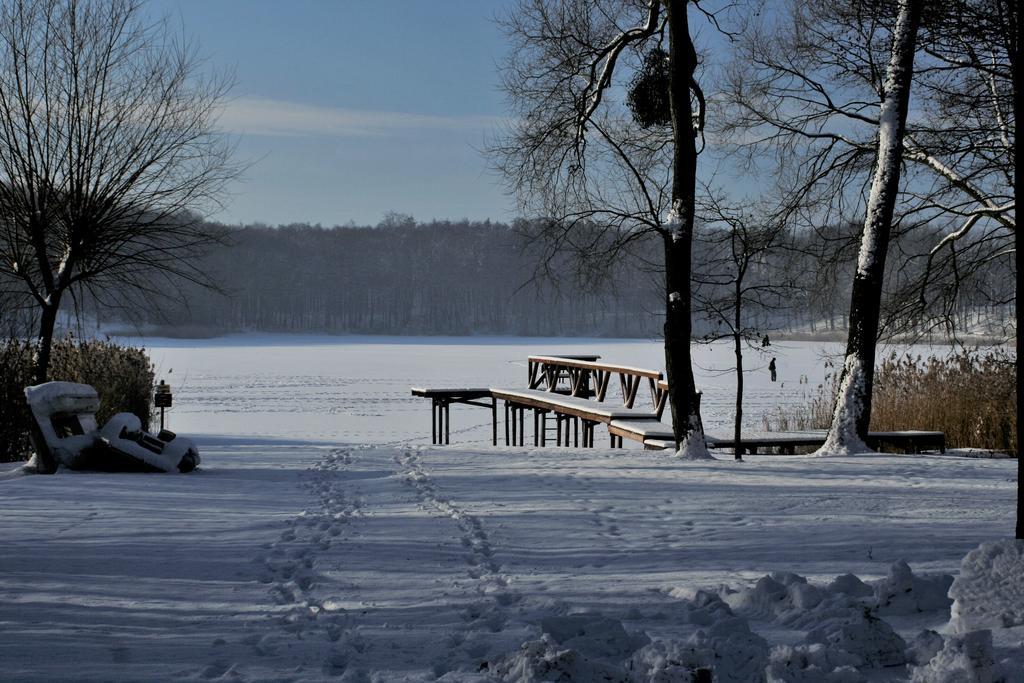 Stajnia Sarnowek Nad Jeziorem Rozany Rozajny Wielkie 外观 照片