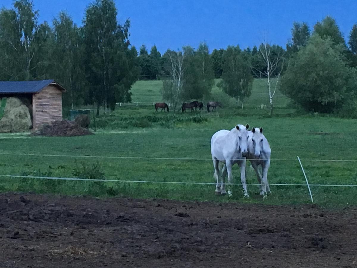 Stajnia Sarnowek Nad Jeziorem Rozany Rozajny Wielkie 外观 照片