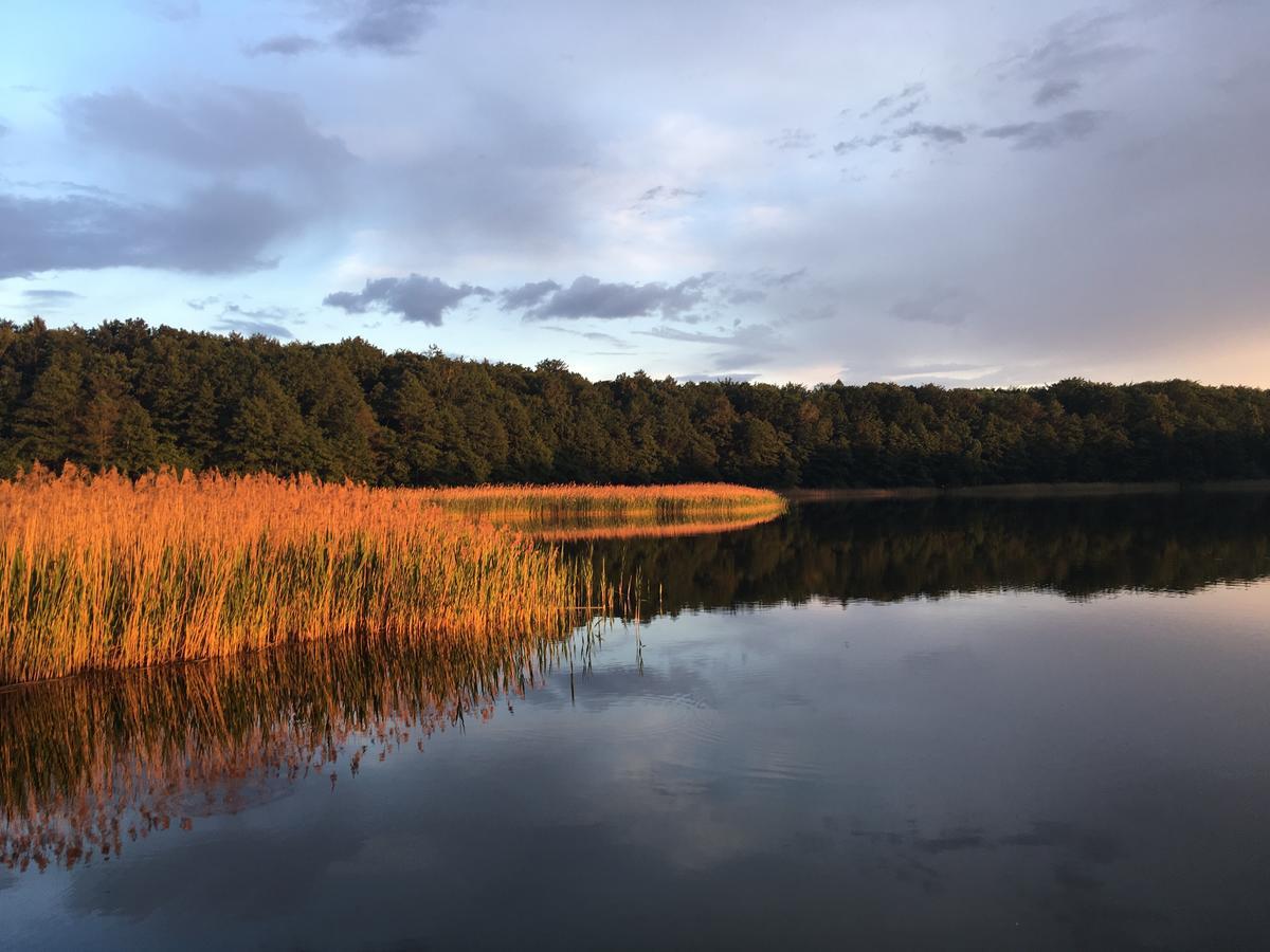 Stajnia Sarnowek Nad Jeziorem Rozany Rozajny Wielkie 外观 照片